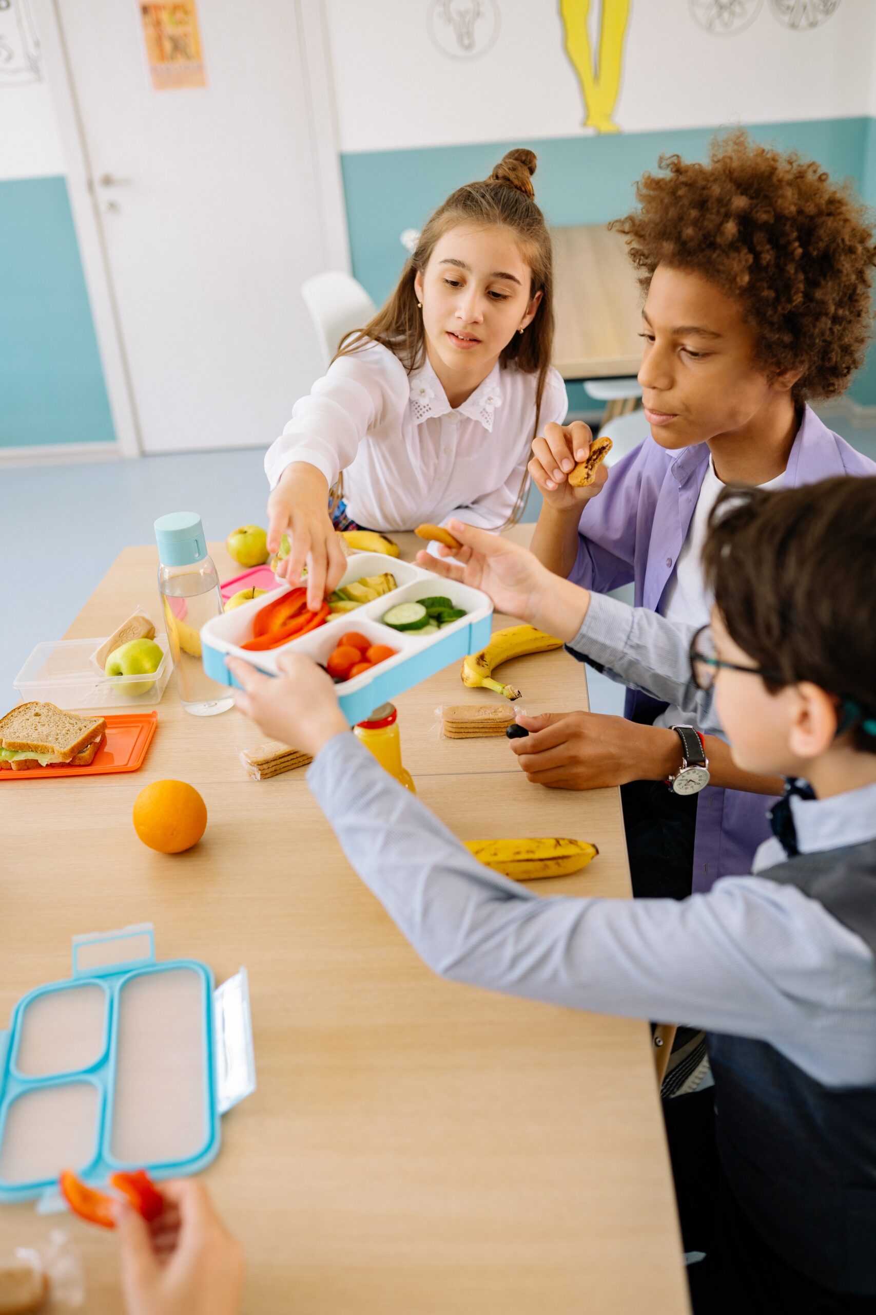 Easy Lunch Ideas for the Busy College Student - Mad Lab Stories